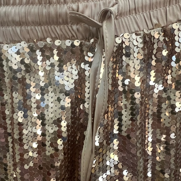 Rose Gold Sequins Shorts - Picture 3 of 9